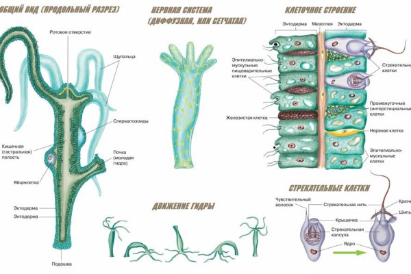 Kraken 14 at